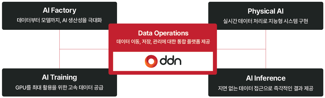 DDN Data Operations
